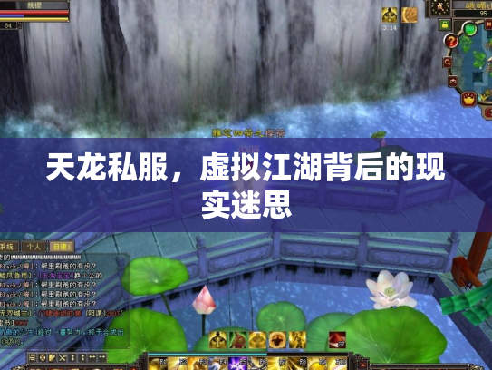 天龙私服，虚拟江湖背后的现实迷思