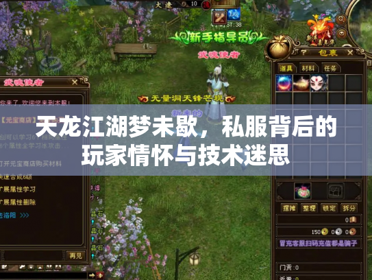 天龙江湖梦未歇，私服背后的玩家情怀与技术迷思