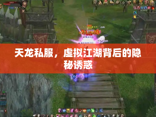 天龙私服，虚拟江湖背后的隐秘诱惑
