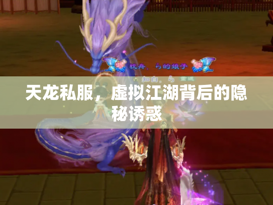天龙私服，虚拟江湖背后的隐秘诱惑