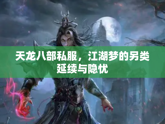天龙八部私服，江湖梦的另类延续与隐忧