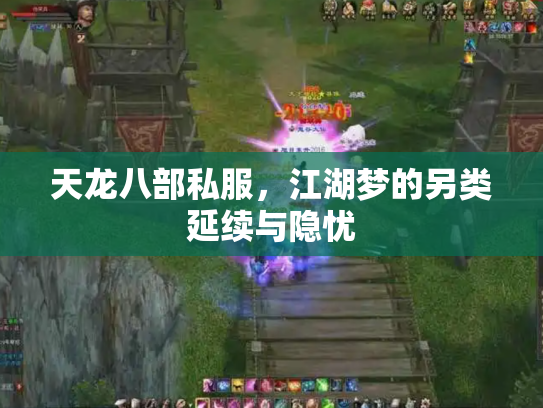 天龙八部私服，江湖梦的另类延续与隐忧