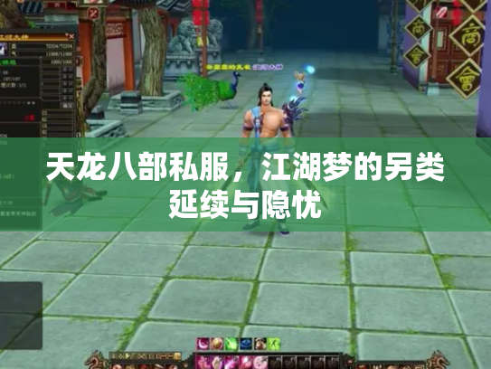 天龙八部私服，江湖梦的另类延续与隐忧