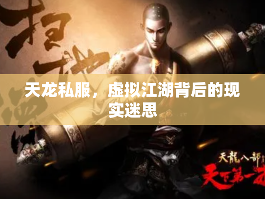 天龙私服，虚拟江湖背后的现实迷思