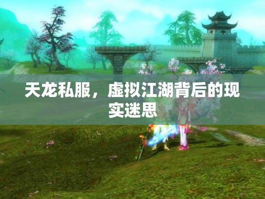 天龙私服，虚拟江湖背后的现实迷思