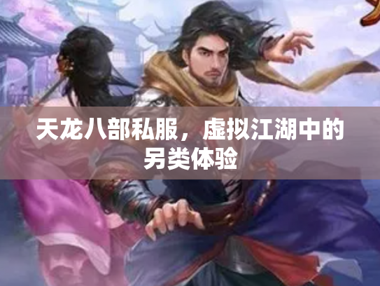天龙八部私服，虚拟江湖中的另类体验
