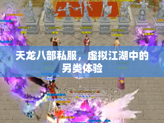 天龙八部私服，虚拟江湖中的另类体验