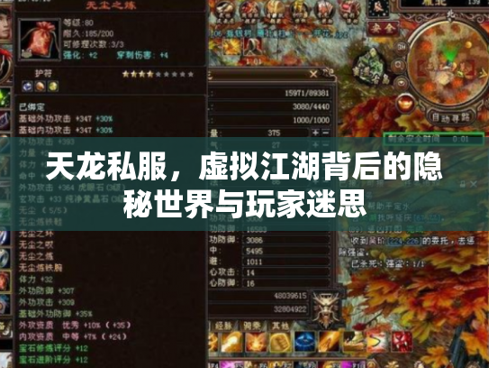 天龙私服，虚拟江湖背后的隐秘世界与玩家迷思
