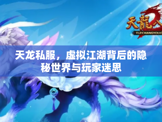 天龙私服，虚拟江湖背后的隐秘世界与玩家迷思