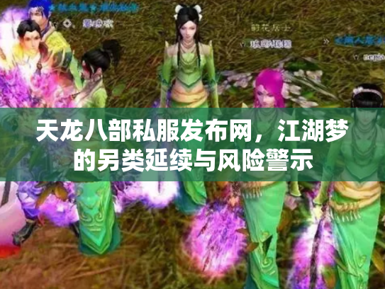 天龙八部私服发布网，江湖梦的另类延续与风险警示