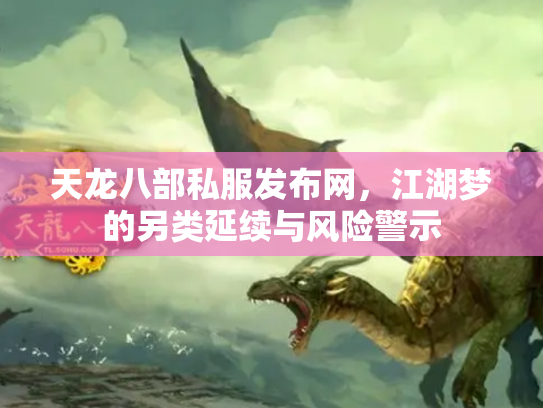 天龙八部私服发布网，江湖梦的另类延续与风险警示
