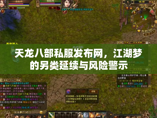 天龙八部私服发布网，江湖梦的另类延续与风险警示