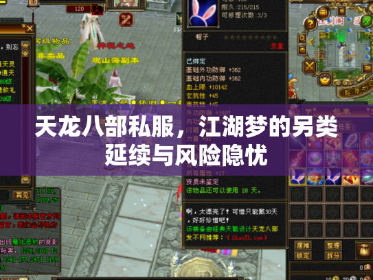 天龙八部私服，江湖梦的另类延续与风险隐忧