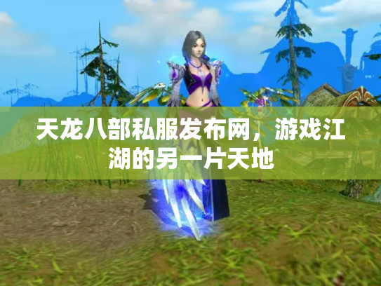 天龙八部私服发布网，游戏江湖的另一片天地