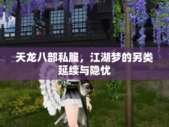 天龙八部私服，江湖梦的另类延续与隐忧