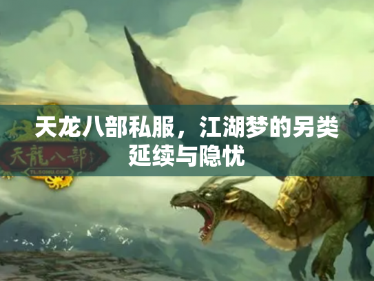 天龙八部私服，江湖梦的另类延续与隐忧