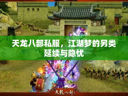 天龙八部私服，江湖梦的另类延续与隐忧