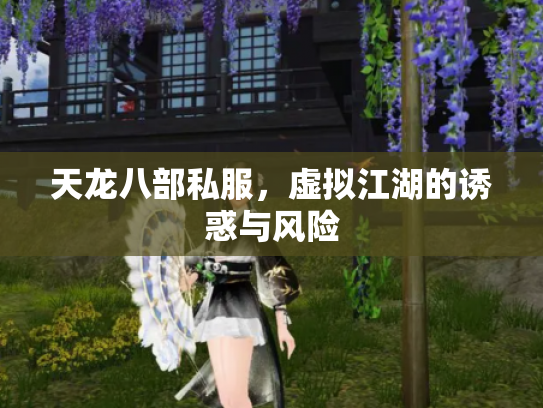 天龙八部私服，虚拟江湖的诱惑与风险