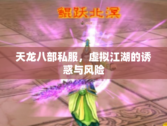 天龙八部私服，虚拟江湖的诱惑与风险