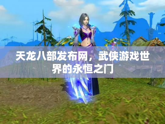 天龙八部发布网，武侠游戏世界的永恒之门