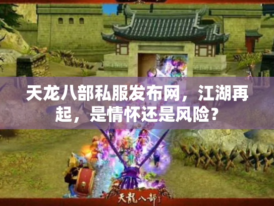 天龙八部私服发布网，江湖再起，是情怀还是风险？