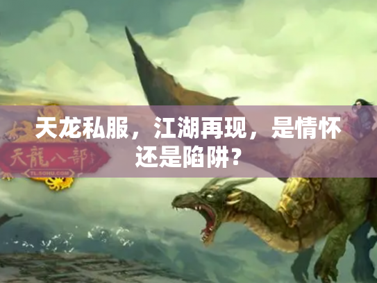 天龙私服，江湖再现，是情怀还是陷阱？