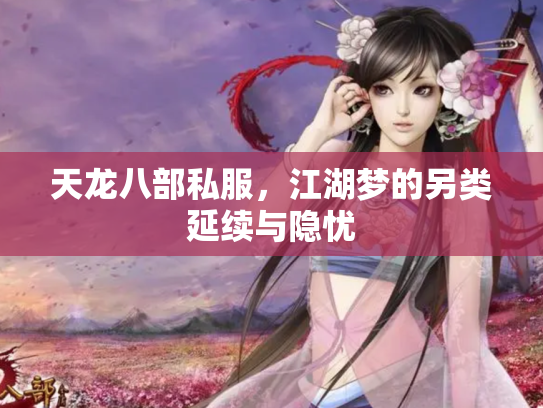 天龙八部私服，江湖梦的另类延续与隐忧