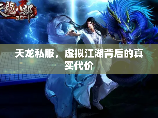 天龙私服，虚拟江湖背后的真实代价