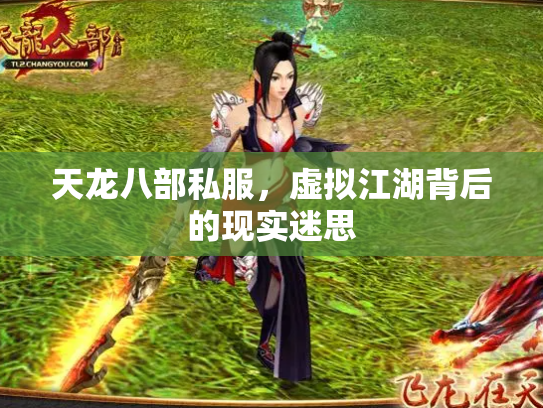 天龙八部私服，虚拟江湖背后的现实迷思