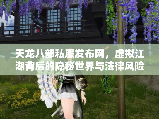 天龙八部私服发布网，虚拟江湖背后的隐秘世界与法律风险