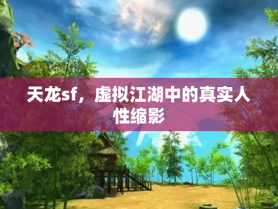 天龙sf，虚拟江湖中的真实人性缩影