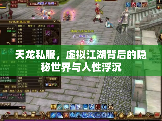 天龙私服，虚拟江湖背后的隐秘世界与人性浮沉