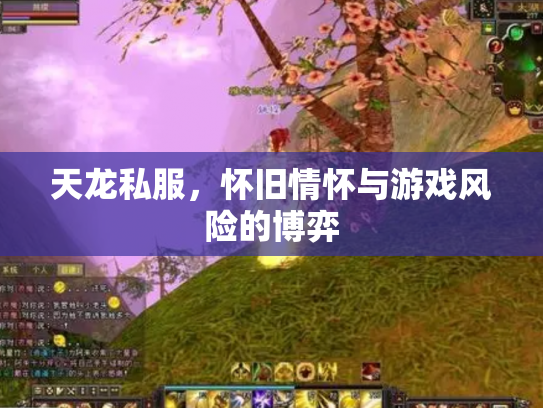 天龙私服，怀旧情怀与游戏风险的博弈
