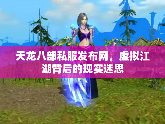 天龙八部私服发布网，虚拟江湖背后的现实迷思