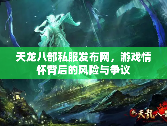 天龙八部私服发布网，游戏情怀背后的风险与争议