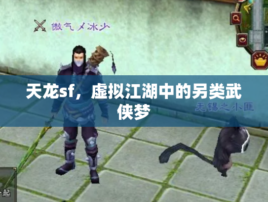 天龙sf，虚拟江湖中的另类武侠梦