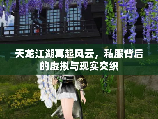 天龙江湖再起风云，私服背后的虚拟与现实交织