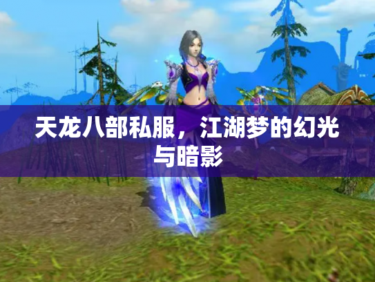 天龙八部私服，江湖梦的幻光与暗影
