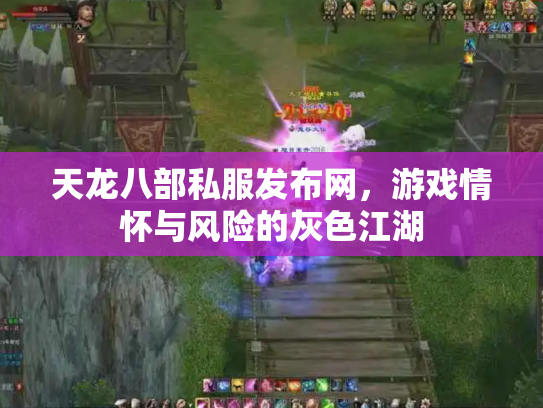 天龙八部私服发布网，游戏情怀与风险的灰色江湖