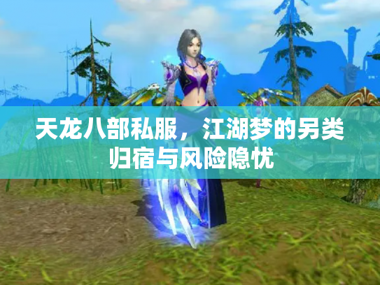 天龙八部私服，江湖梦的另类归宿与风险隐忧