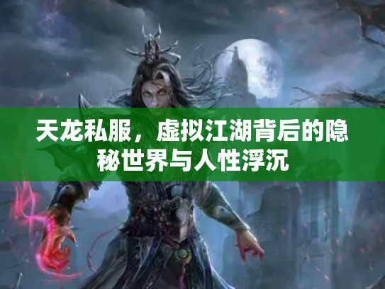 天龙私服，虚拟江湖背后的隐秘世界与人性浮沉