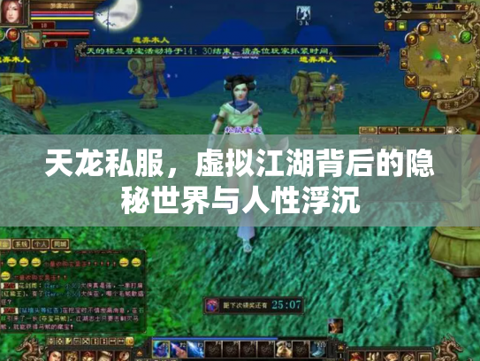 天龙私服，虚拟江湖背后的隐秘世界与人性浮沉