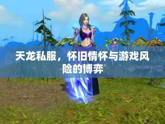 天龙私服，怀旧情怀与游戏风险的博弈