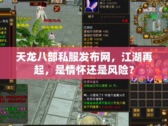 天龙八部私服发布网，江湖再起，是情怀还是风险？