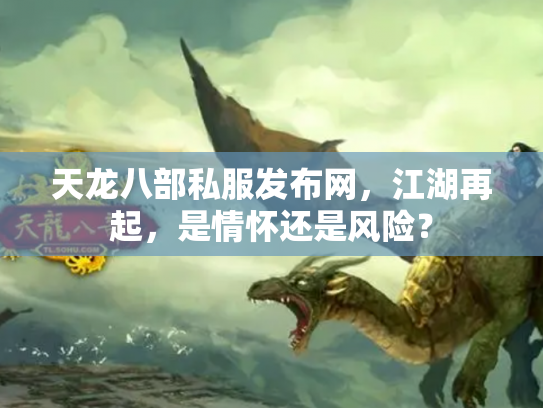 天龙八部私服发布网，江湖再起，是情怀还是风险？