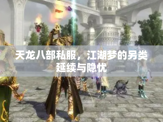 天龙八部私服，江湖梦的另类延续与隐忧