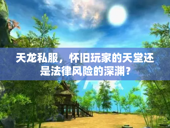 天龙私服，怀旧玩家的天堂还是法律风险的深渊？