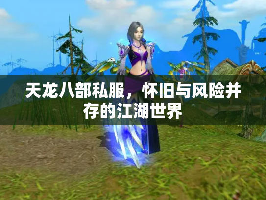 天龙八部私服，怀旧与风险并存的江湖世界