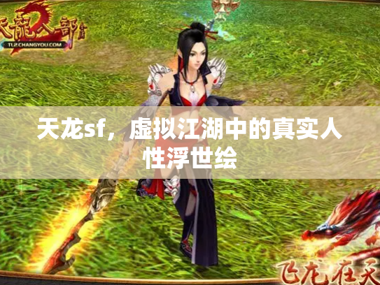 天龙sf，虚拟江湖中的真实人性浮世绘