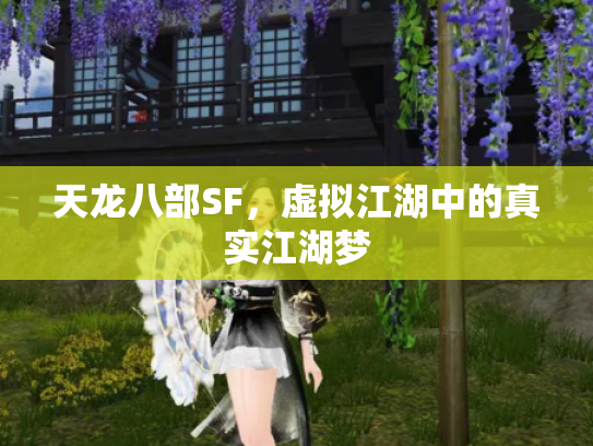 天龙八部SF，虚拟江湖中的真实江湖梦